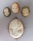 A 19th century oval coral cameo brooch in a gold frame, 7 x 6 cm, stamped 9ct, indistinct maker's ma