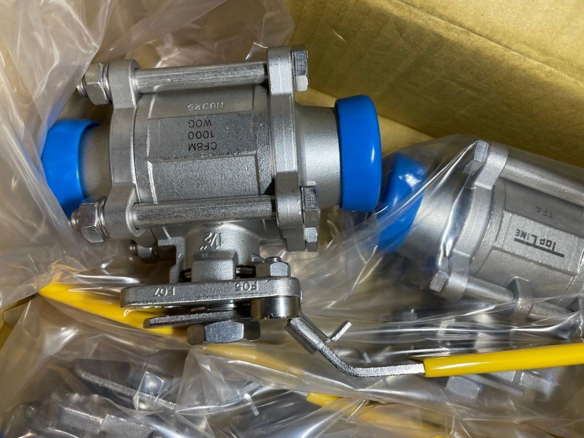 2 SKIDS W APPROX: (5) TOP LINE TF4 2.5 IN CF8M 800 WOG VALVES, (19) TOP LINE TF4 2 IN CF8M 1000 WOG - Image 13 of 15