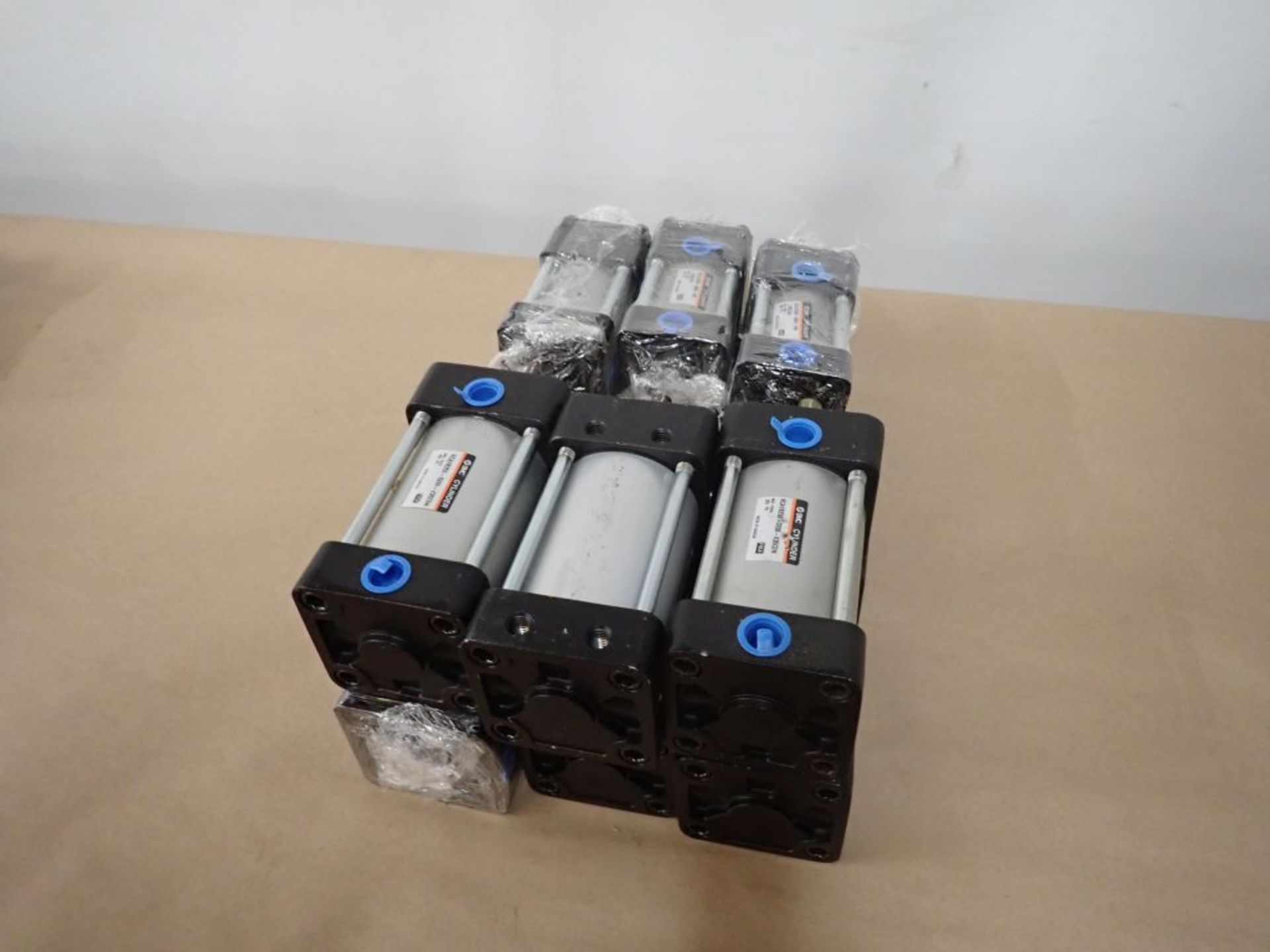 Lot of (12) Assorted SMC Cylinders