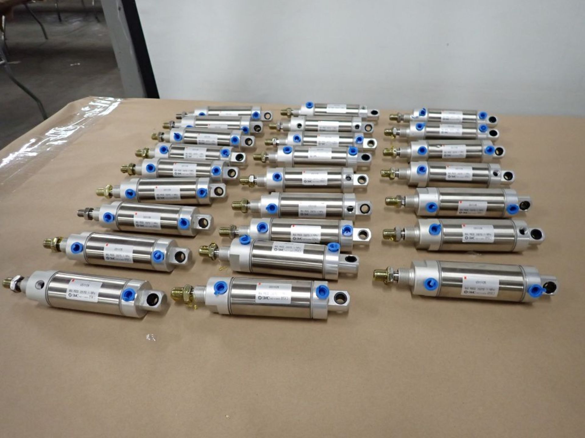 Lot of (25) SMC Cylinders