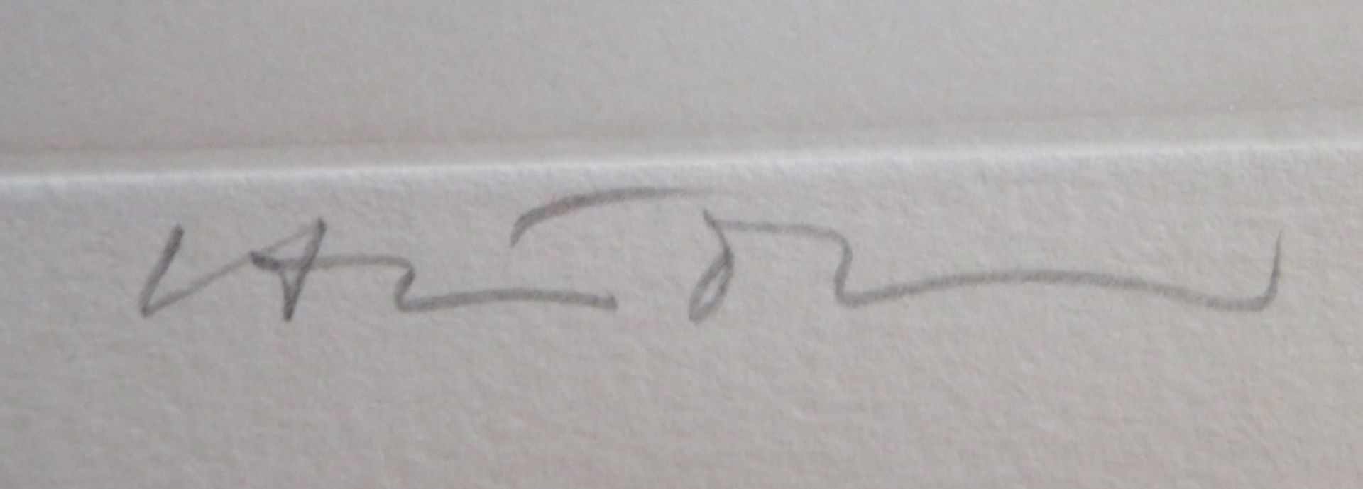 Unleserlich signiert, "Die Hand", Radierung, E.A.-Ausgabe, XV/XX, re.u.unles.sign., 46 x 35,5 cm, B - Bild 2 aus 2