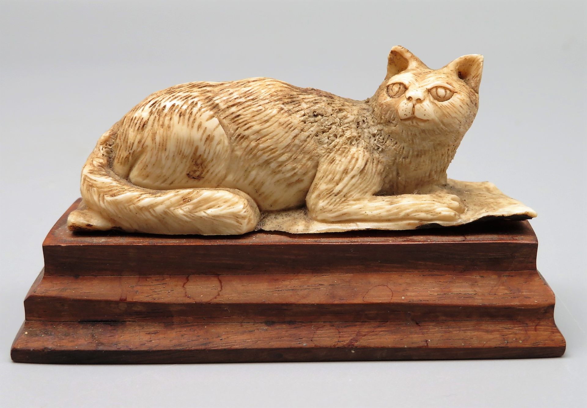 Liegende Katze, Hirschhorn geschnitzt, Holzsockel, 3 x 8 x 2,5 cm.