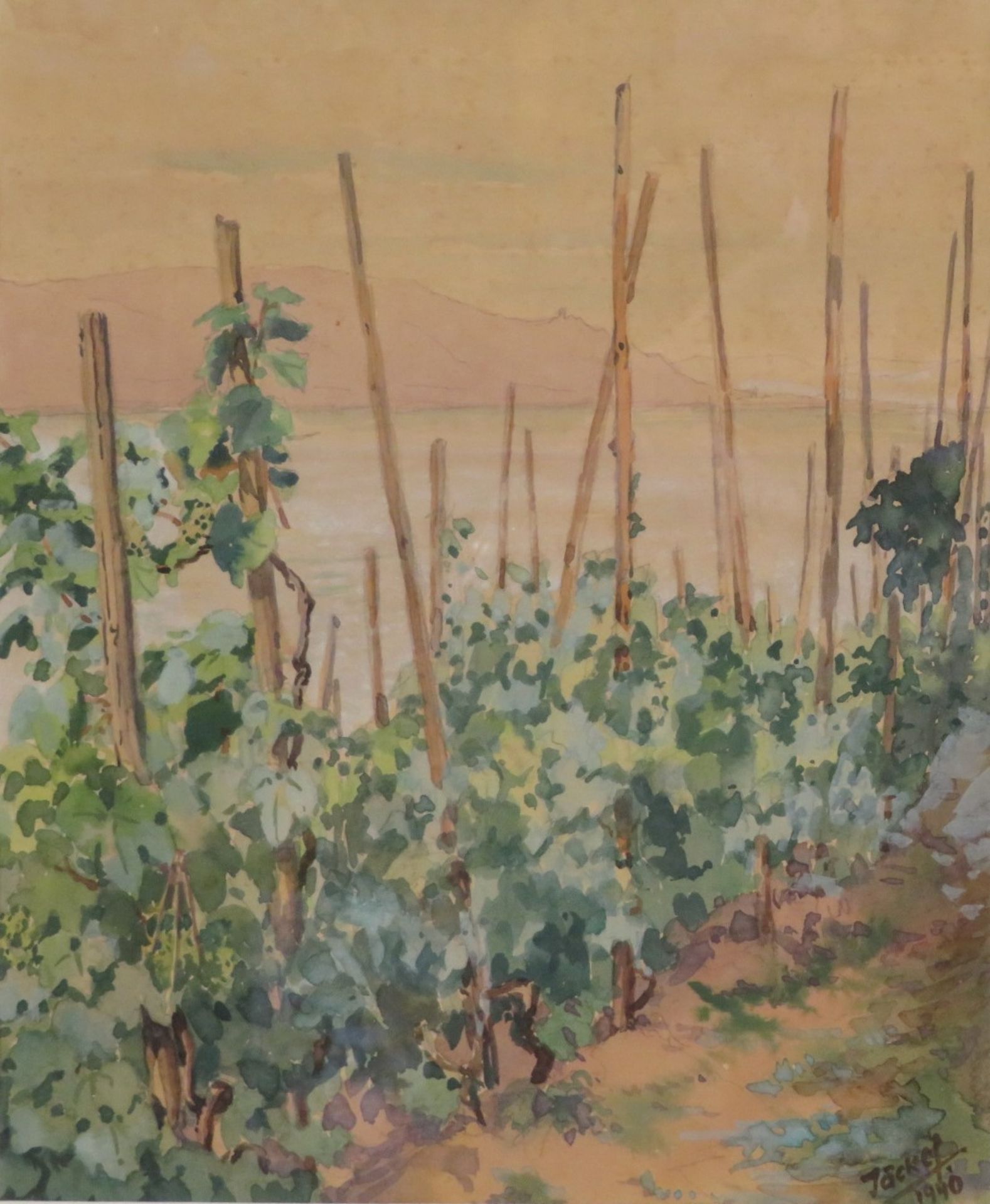 Jäckel, "Weinreben mit Blick auf den Bodensee", re.u.sign.u.dat. 1940, Aquarell, 28,5 x 23,5 cm, R.