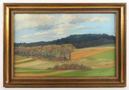 RÖHR, Heinrich (1871-1946), "Landschaft", Gouache/Papier, 37,5 x 59, unten rechts signiert, R. 
