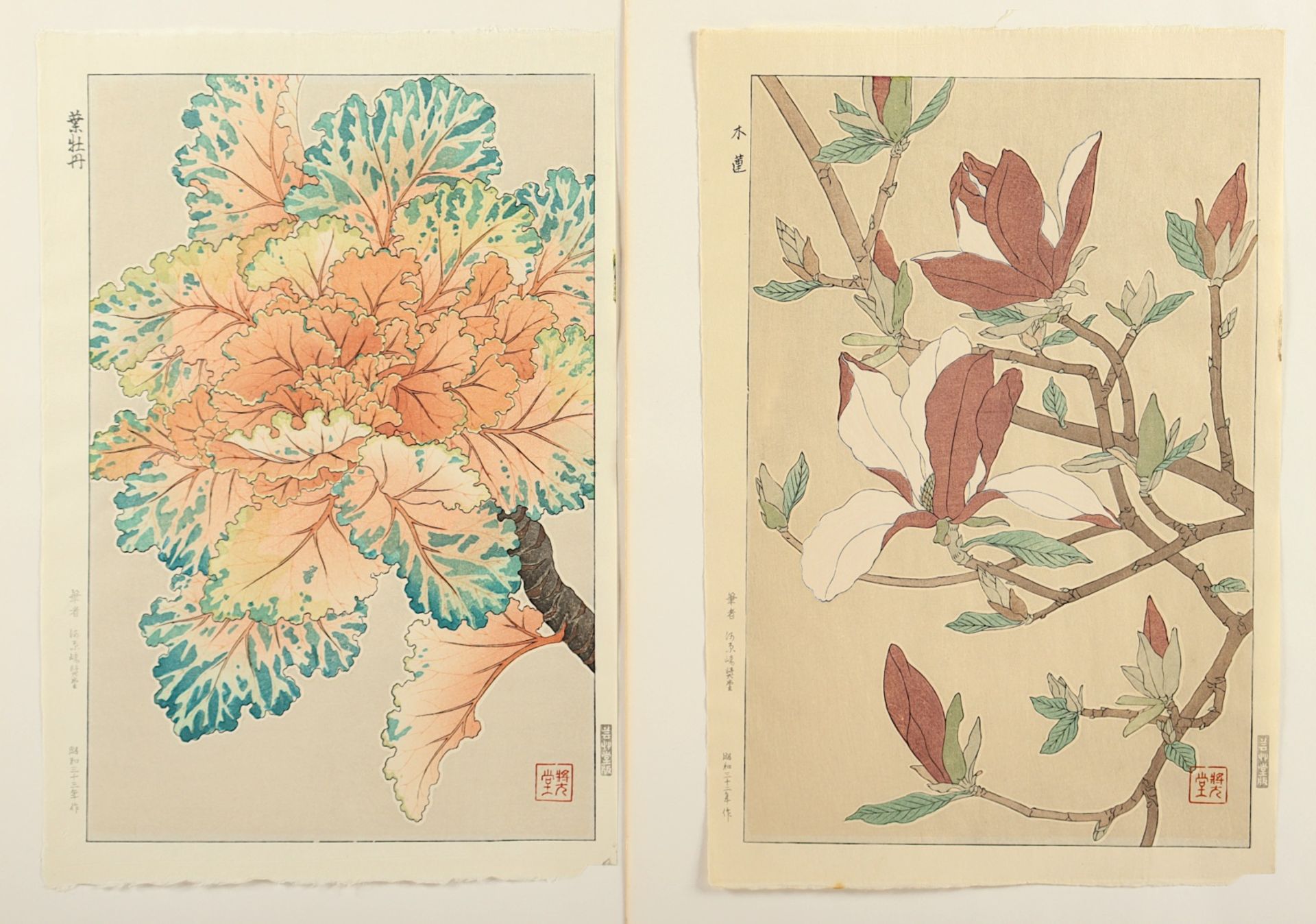 ZWEI FARBHOLZSCHNITTE, Shôdô, Kawarazaki (1889-1973), Oban, Ornamental Kale und Mokuren, JAPAN, 195