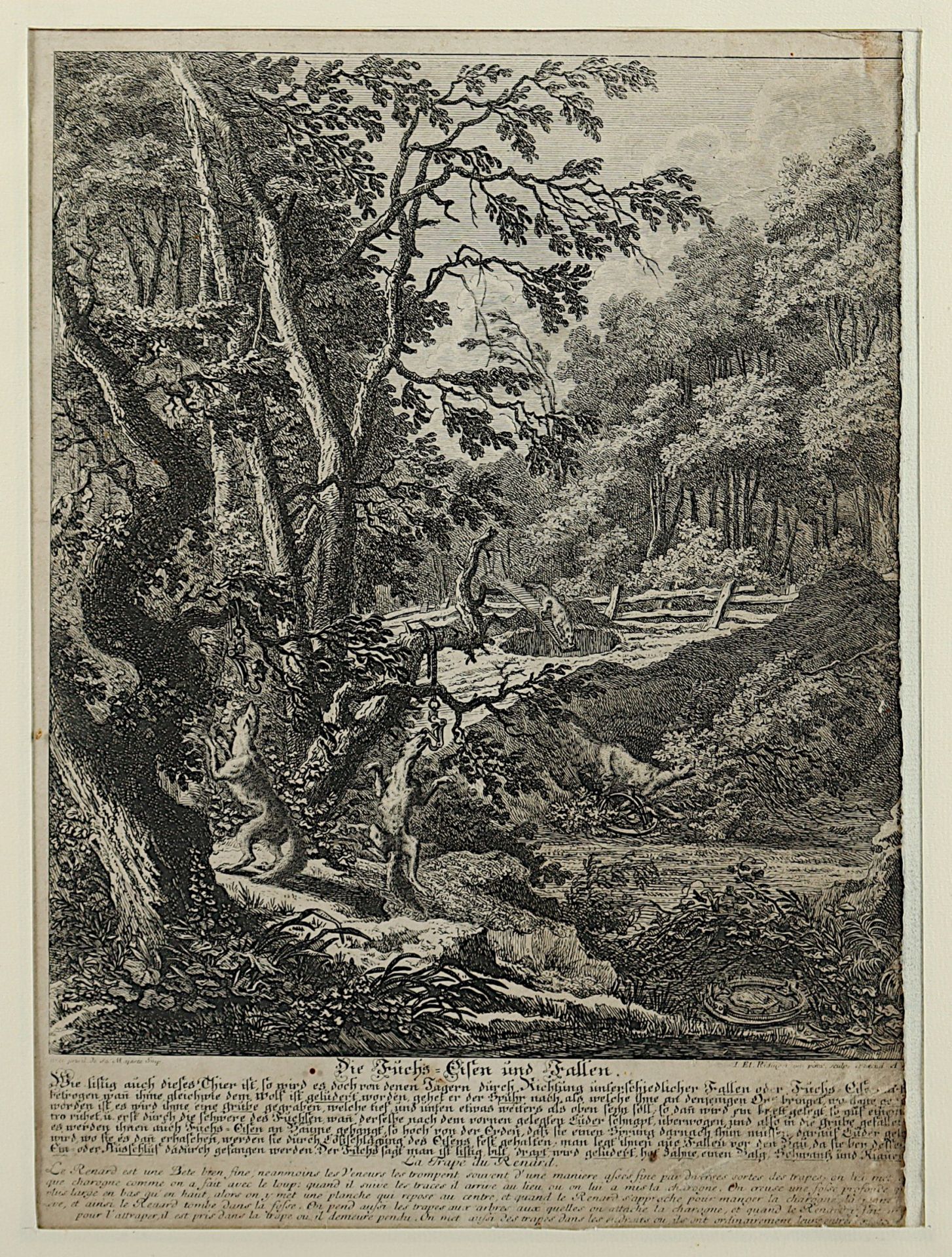 RIDINGER, Johann Elias, zwei Jagdmotive, Radierungen, ca. 29 x 26., 18.Jh., R.  - Bild 2 aus 3