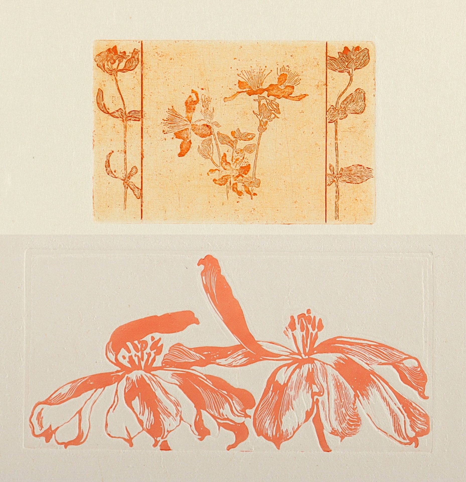 ILLIES, Arthur, 2 Arbeiten: "Johanniskraut" und "Rote Tulpen", Zinkätzungen, bis 9,5 x 21, 1896/189