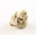 NETSUKE WELPE MIT AWABI-MUSCHEL, das Hündchen steht auf einer Muschel und spielt mit einem Seil, H