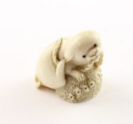 NETSUKE WELPE MIT AWABI-MUSCHEL, das Hündchen steht auf einer Muschel und spielt mit einem Seil, H 