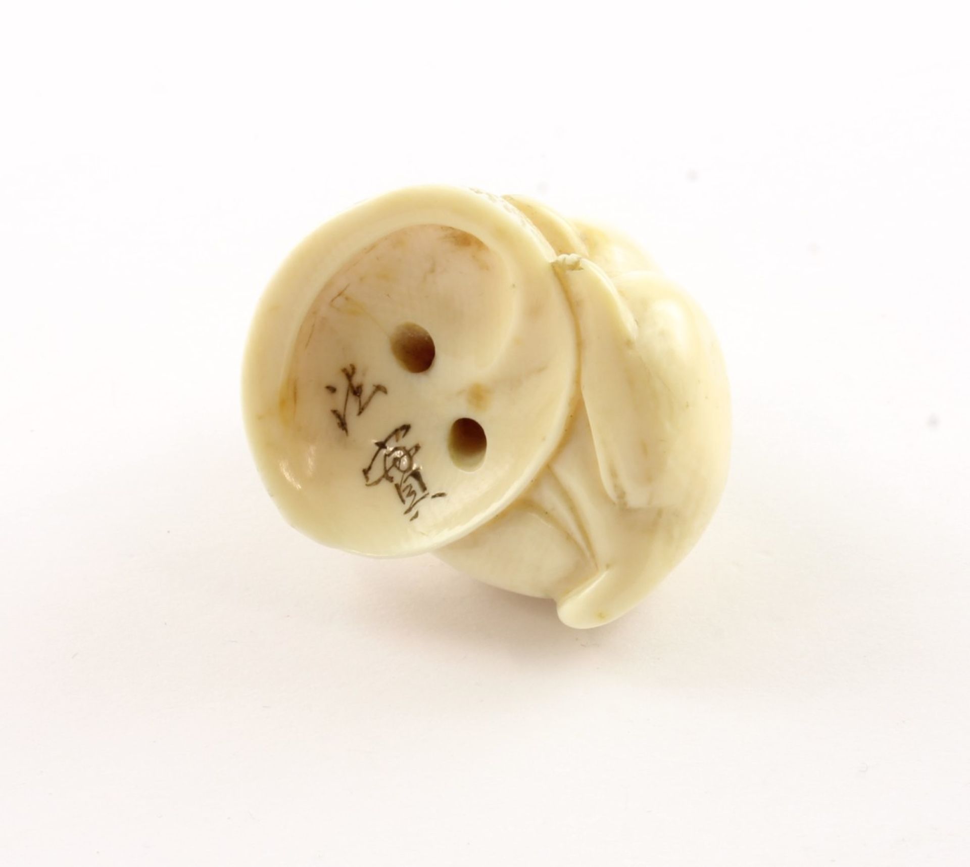 NETSUKE WELPE MIT AWABI-MUSCHEL, das Hündchen steht auf einer Muschel und spielt mit einem Seil, H  - Bild 3 aus 4