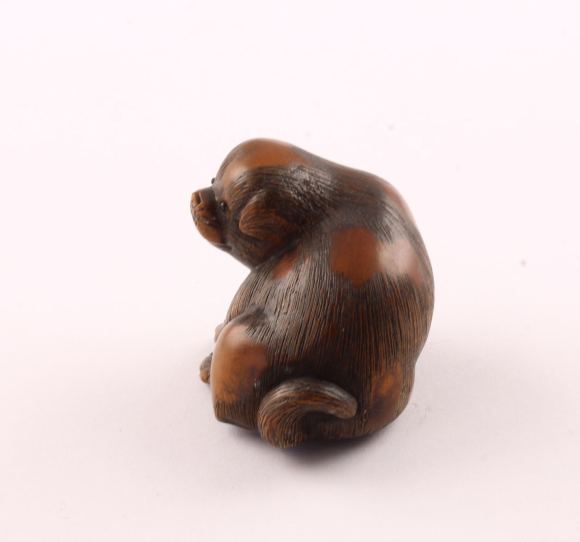 NETSUKE WELPE, Buchsbaum, Augen schwarzes Horn, H 2,8, JAPAN, 19.Jh.  - Bild 2 aus 4