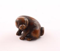 NETSUKE WELPE, Buchsbaum, Augen schwarzes Horn, H 2,8, JAPAN, 19.Jh. 