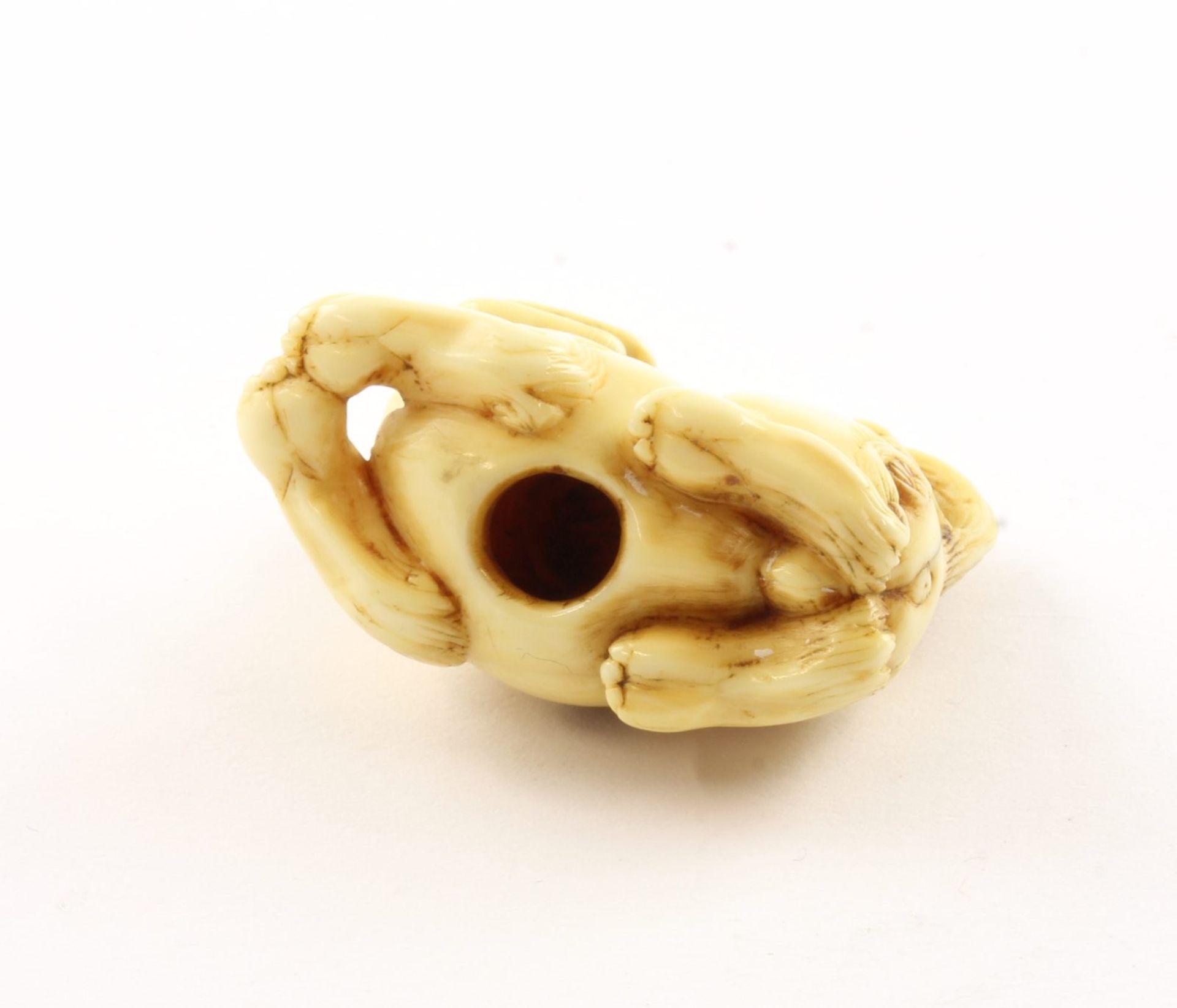 Netsuke, liegender Wächterlöwe, Elfenbein - Image 3 of 4