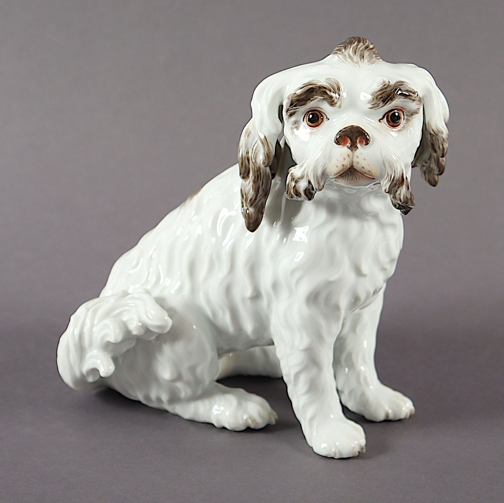 Bologneser Hund, Johann Joachim Kaendler, Meissen, 1924-34