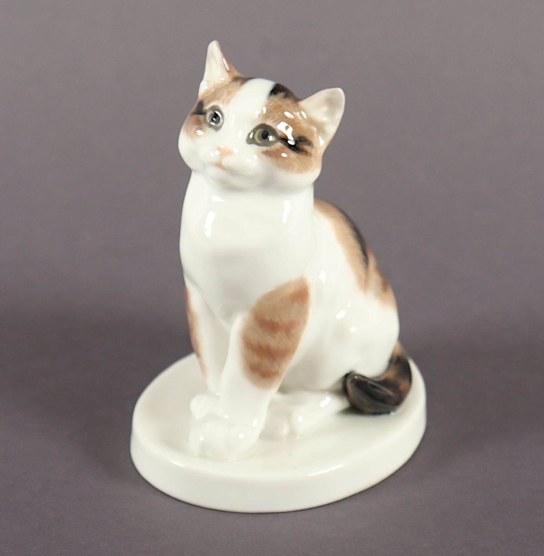 Katze sitzend, Erich Hösel, Meissen, 1924-34