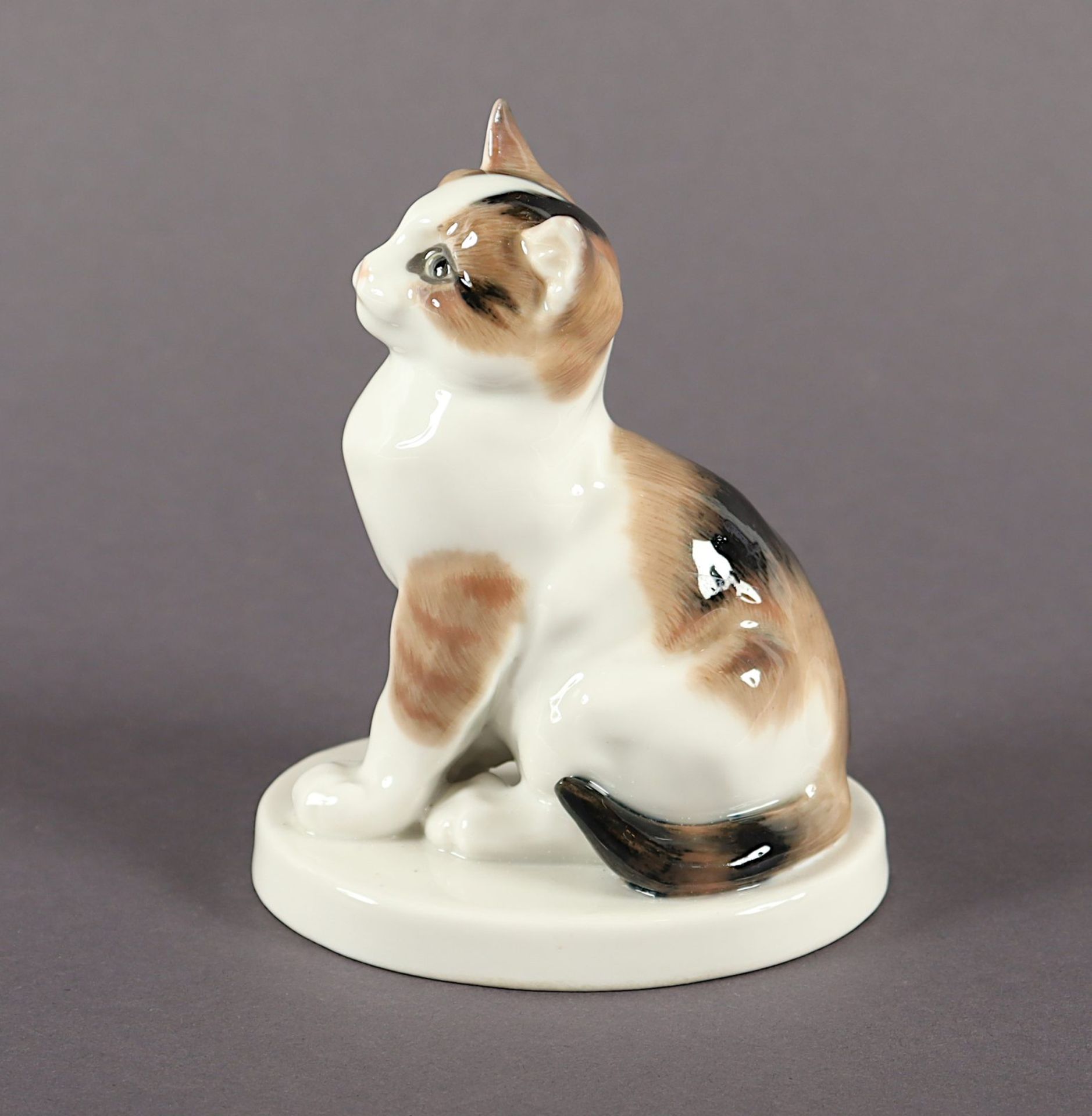 Katze sitzend, Erich Hösel, Meissen, 1924-34 - Bild 2 aus 4