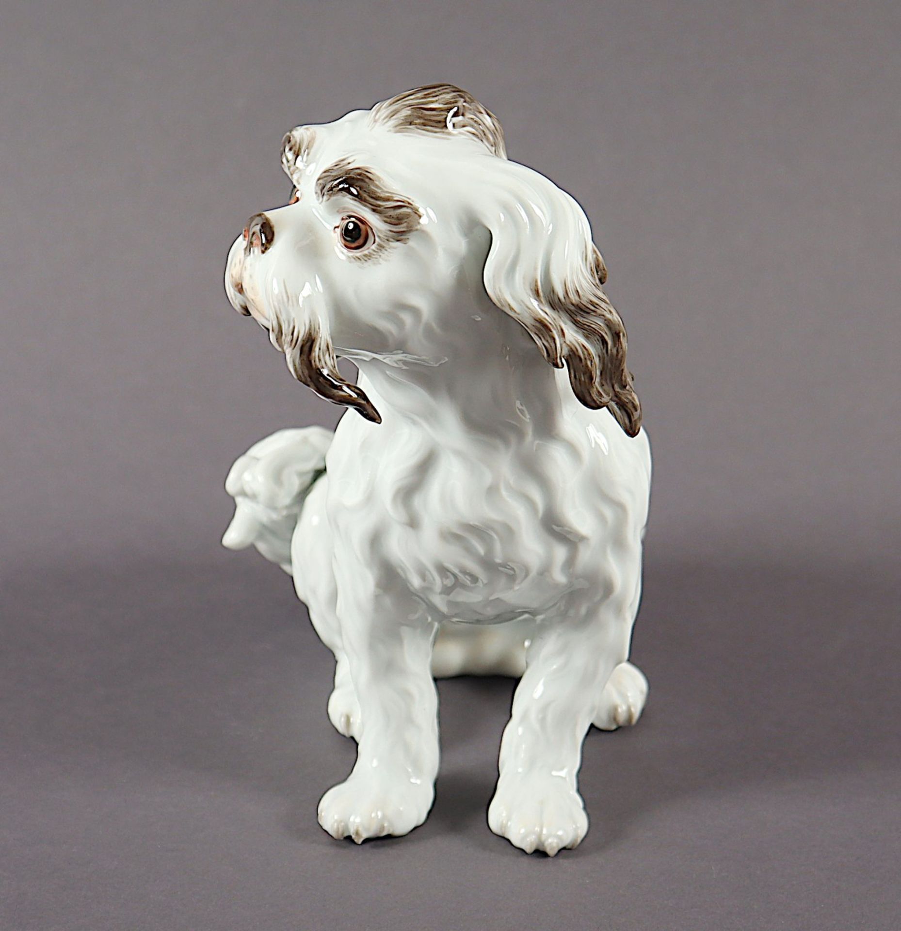 Bologneser Hund, Johann Joachim Kaendler, Meissen, 1924-34 - Bild 2 aus 4