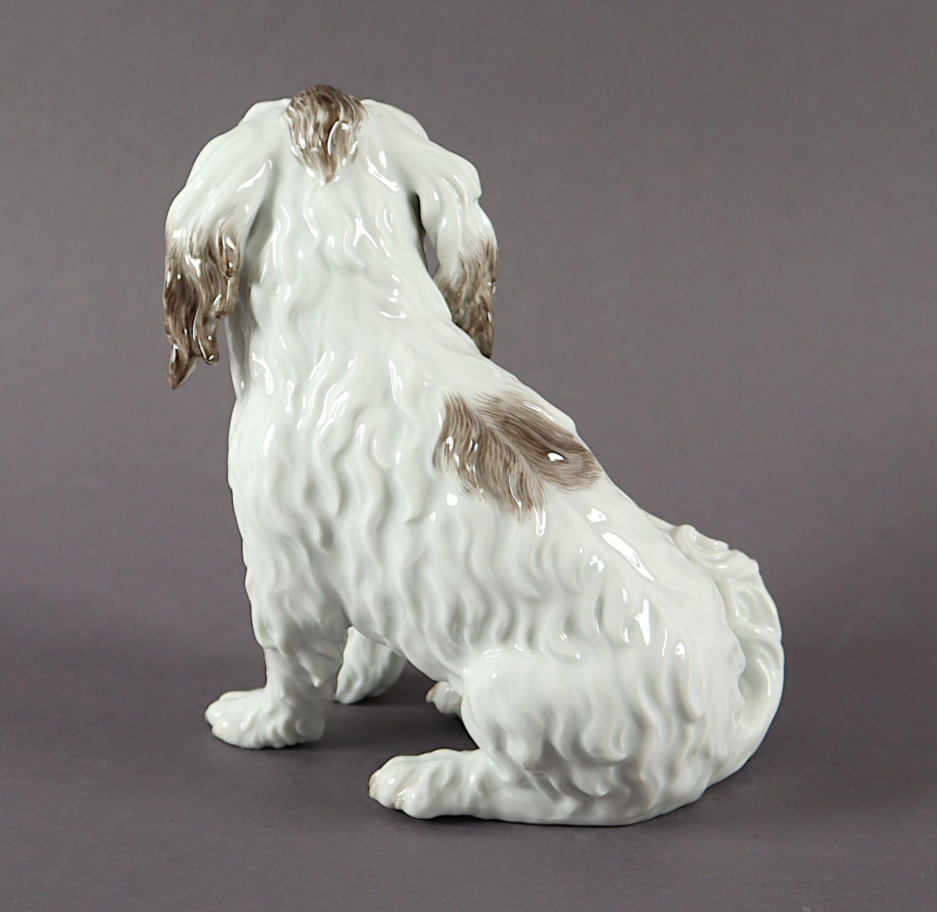Bologneser Hund, Johann Joachim Kaendler, Meissen, 1924-34 - Bild 3 aus 4