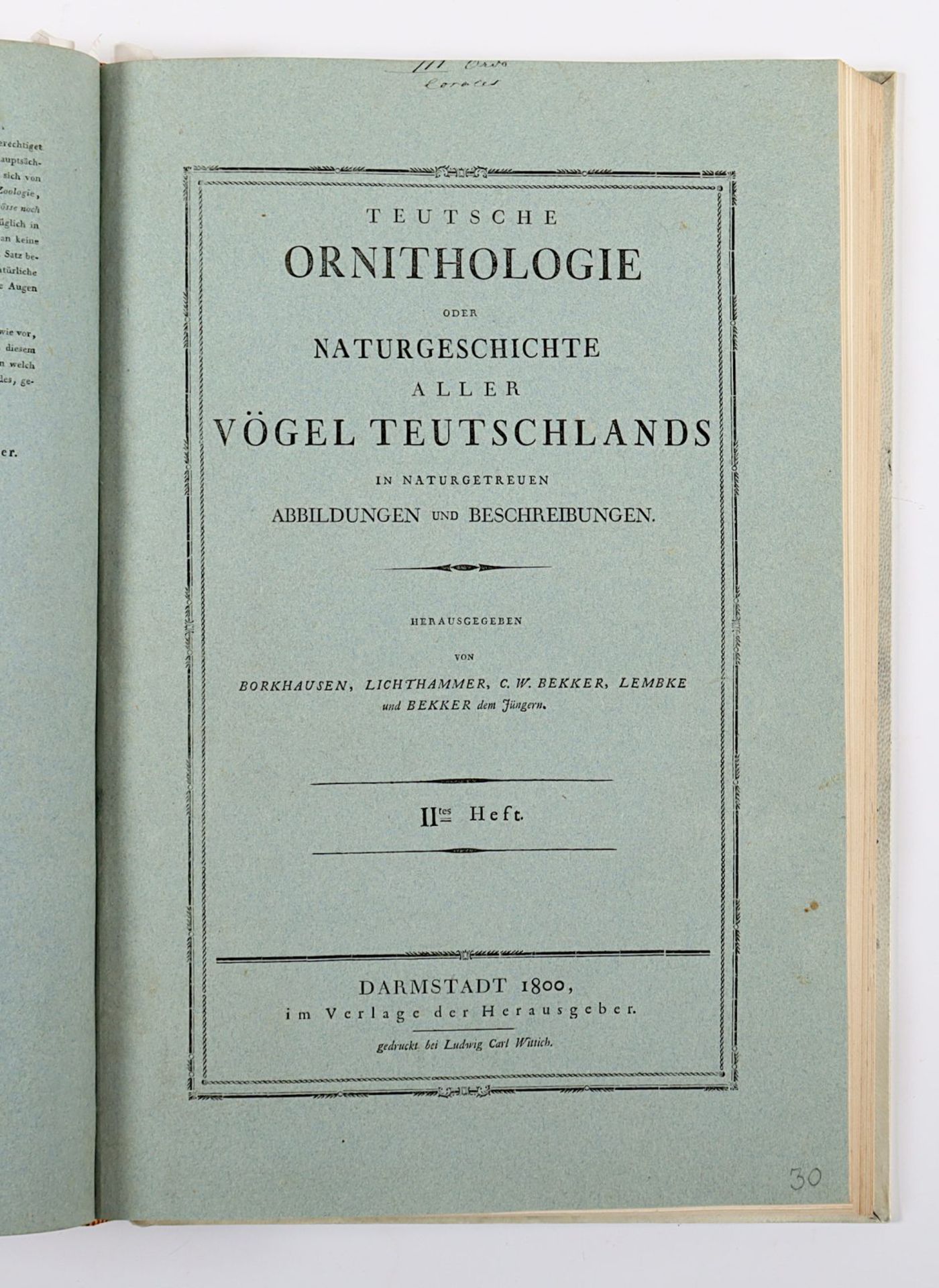 Teutsche Ornithologie, oder Naturgeschichte aller Vögel Teutschlands - Image 7 of 13