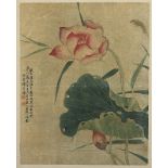Malerei, Lotus, gerahmt, CHINA