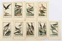 9 ornithologische Stiche, 