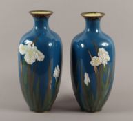 Paar Cloisonné-Vasen, min.besch., JAPAN, Meiji