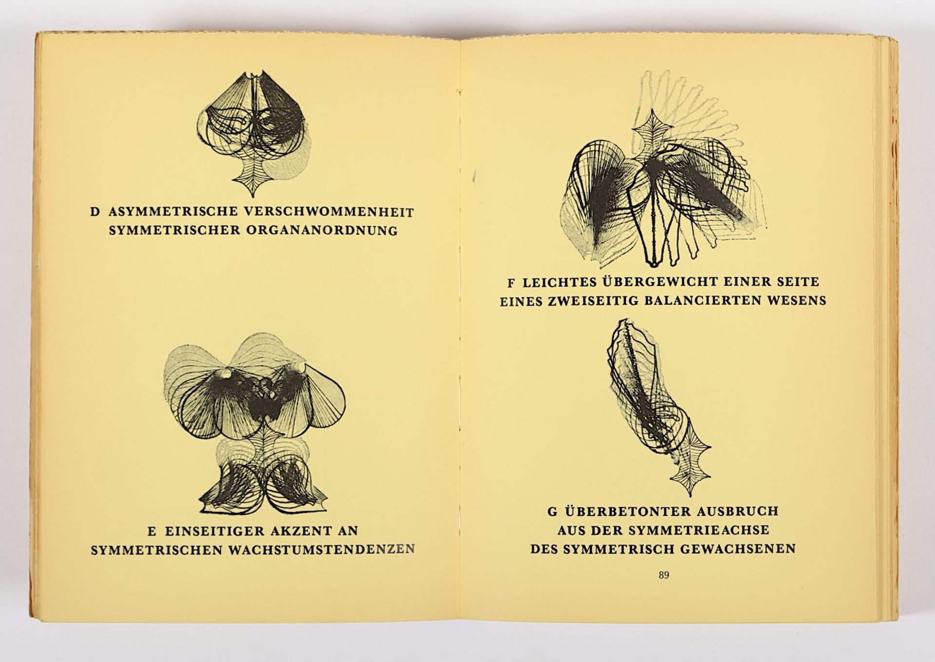 Rot, Dieter, Buchband "Mundunculum"