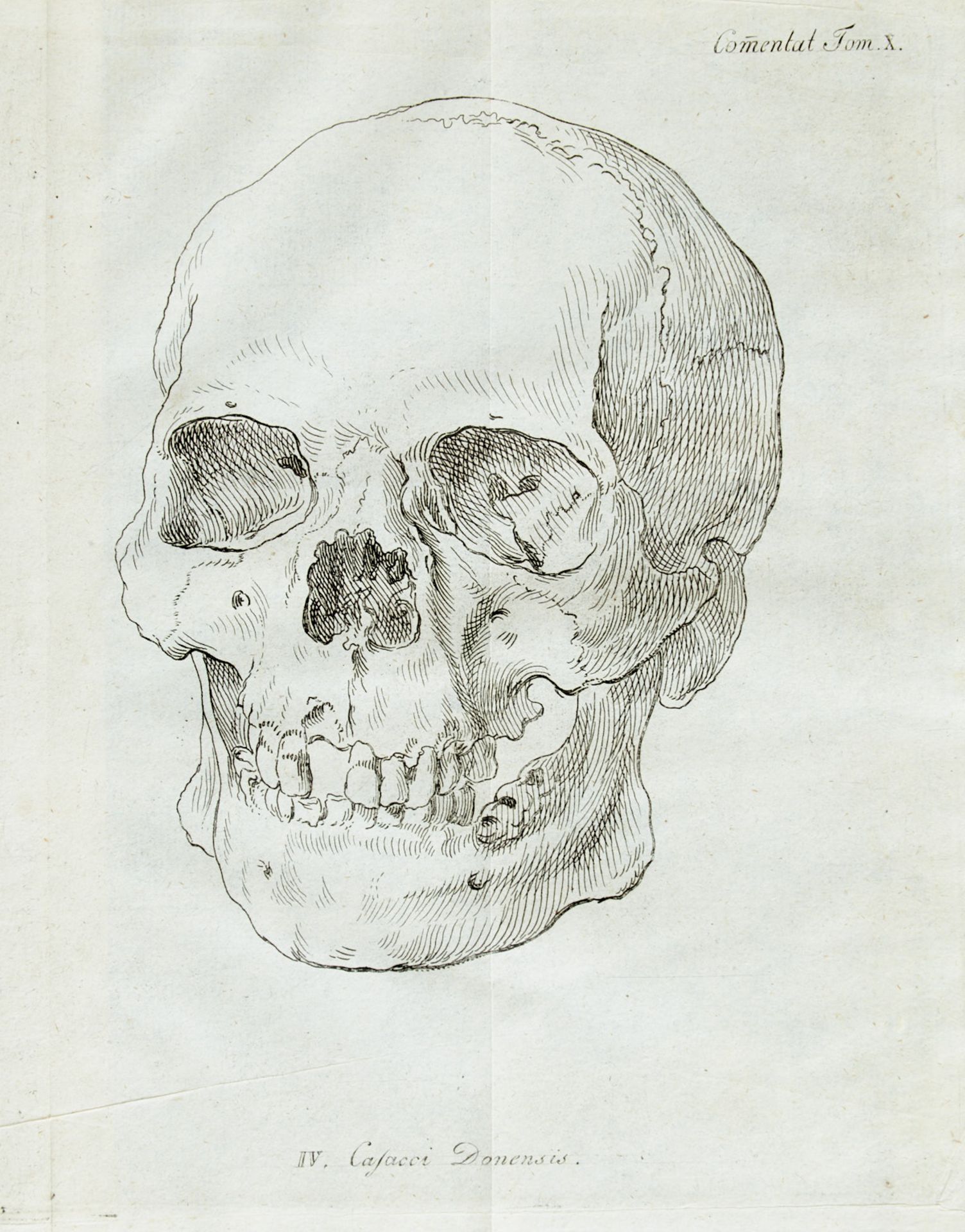 Anthropologie Blumenbach Commentationes Societatis Regiae Scientiarum Gottingensis classis physicae. - Bild 5 aus 7