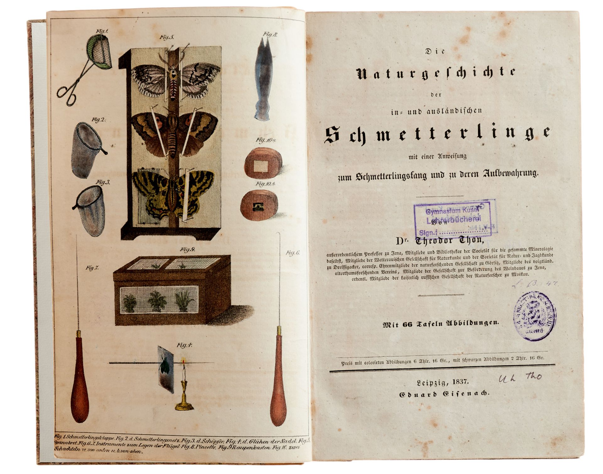 Entomologie Thon, Th., Die Naturgeschichte der in- und ausländischen Schmetterlinge. Leipzig, - Bild 2 aus 7