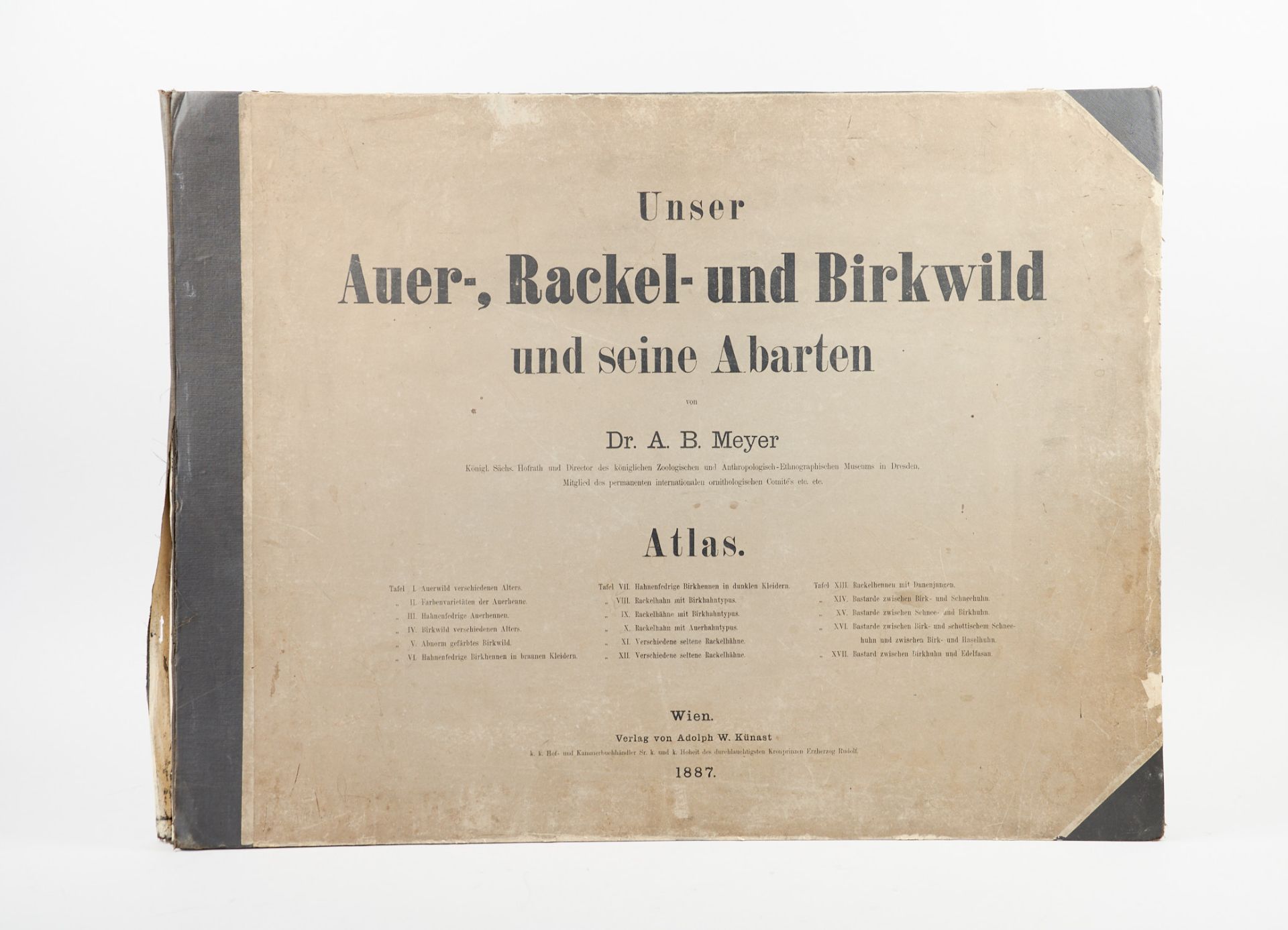 Meyer, A. B., Unser Auer-, Rackel- und Birkwild und seine Abarten. Nur Tafelband. Wien, Künast,