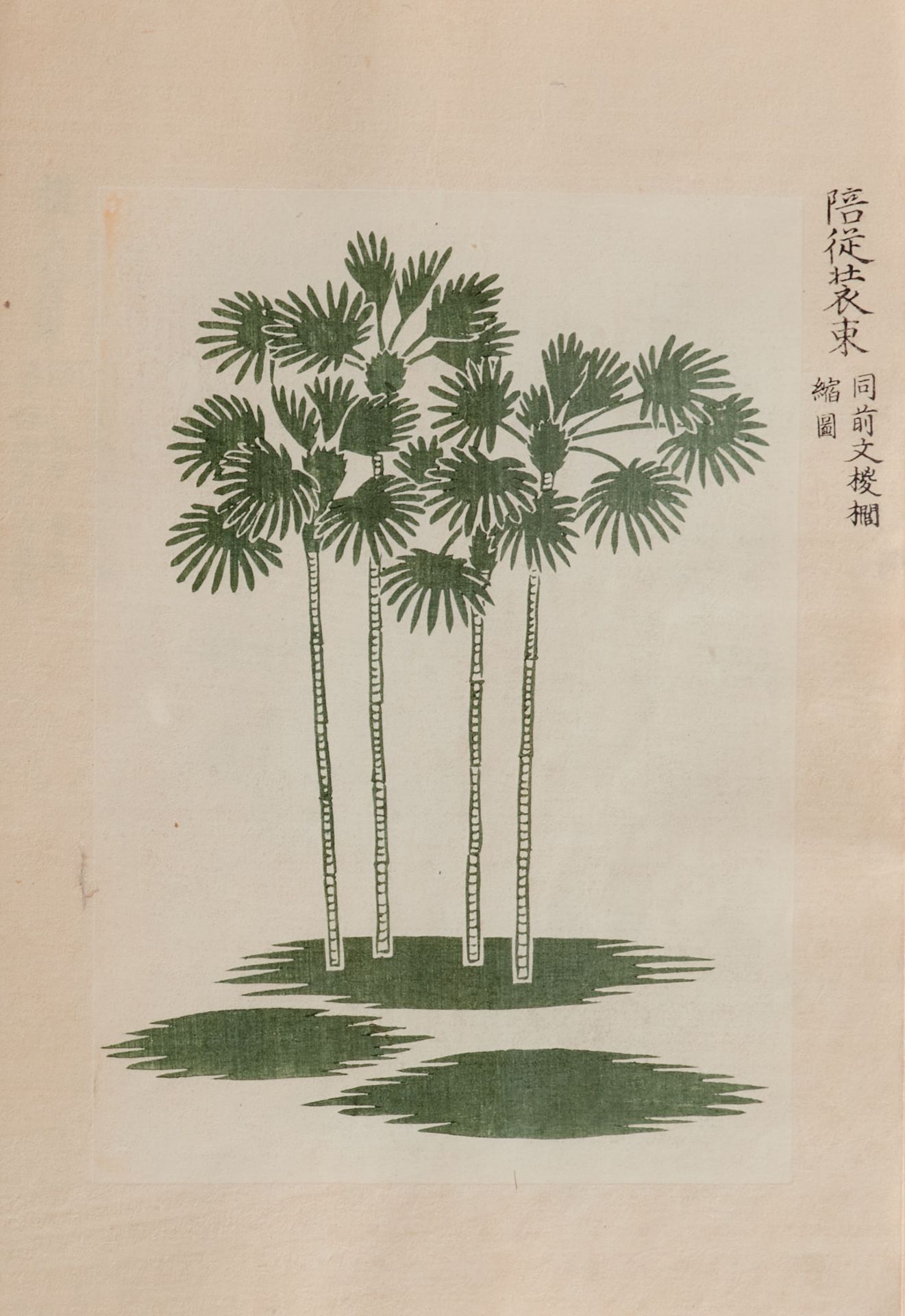 Ostasien Japan Tokikata, Matsuoka, Shokumon zue. 4 Bde. (von 6). Japan, Kansei 12 (1800) bis 1818. - Image 4 of 4