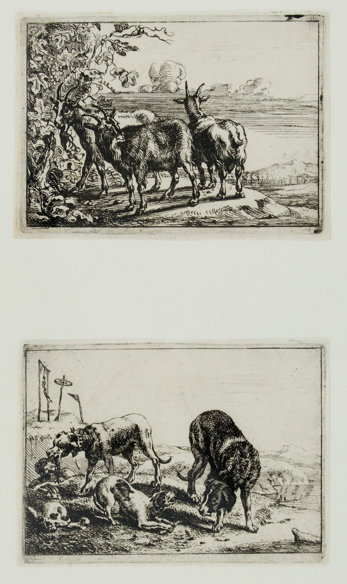 Kessel, Theodor van (ca. 1620 - ca. 1693 Antwerpen), "Alcune animali". Radierter Titel und 5 - Bild 2 aus 3