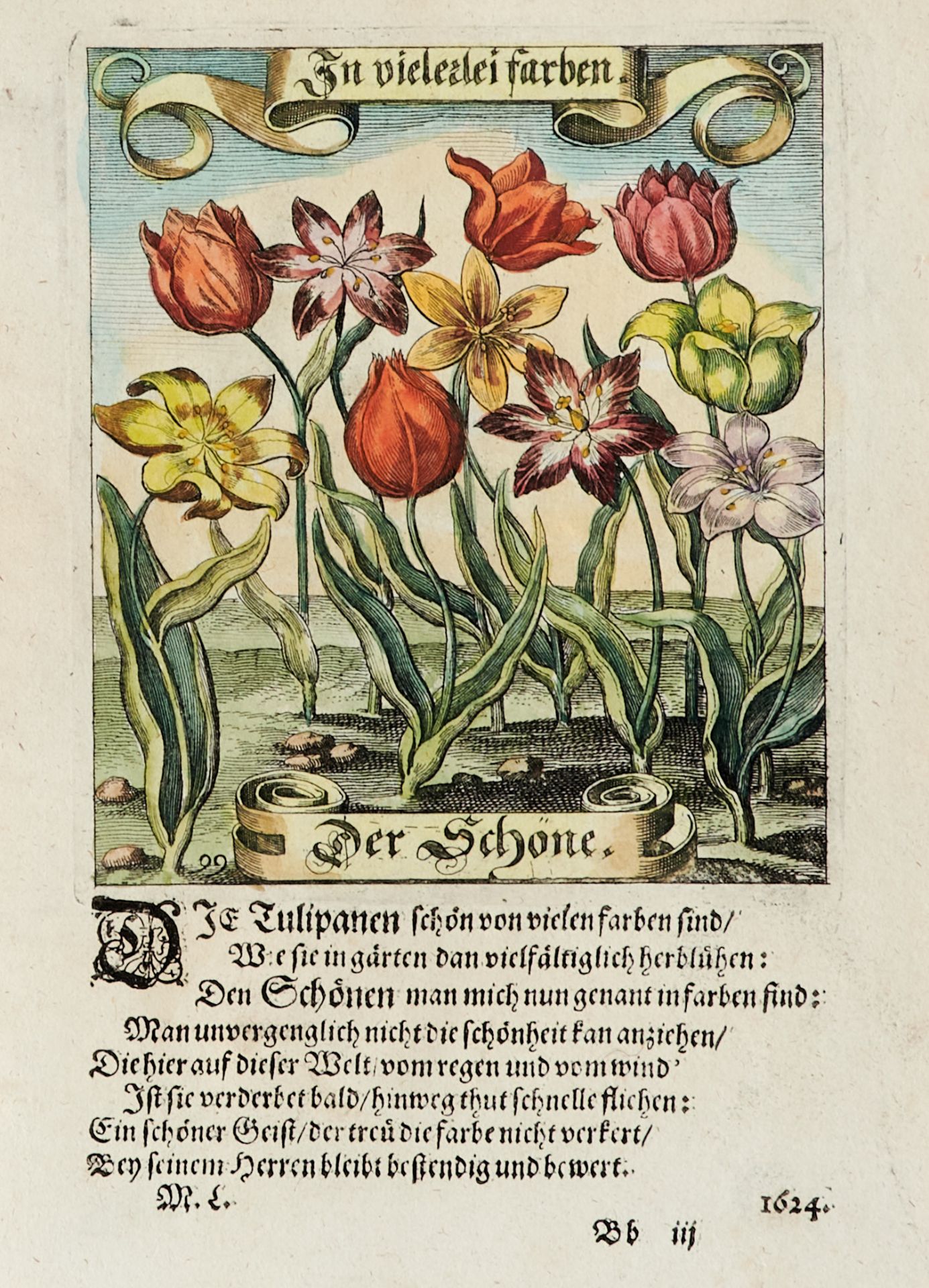 Flora Blumen Konvolut - Ca. 75 Blätter in verschied. Techniken, von verschied. Stechern und in - Bild 3 aus 10