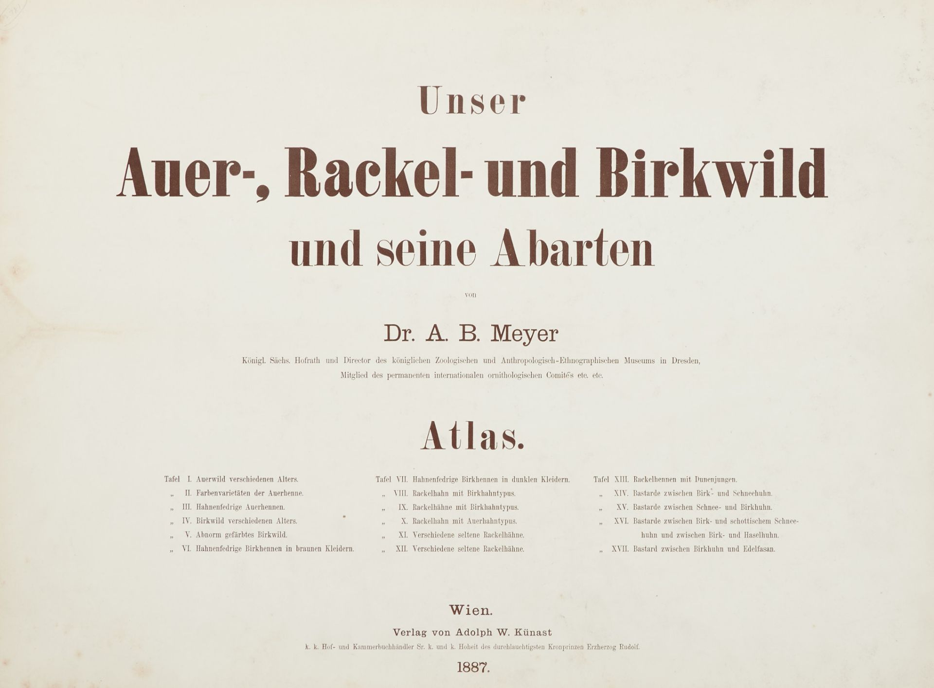 Meyer, A. B., Unser Auer-, Rackel- und Birkwild und seine Abarten. Nur Tafelband. Wien, Künast, - Bild 3 aus 5