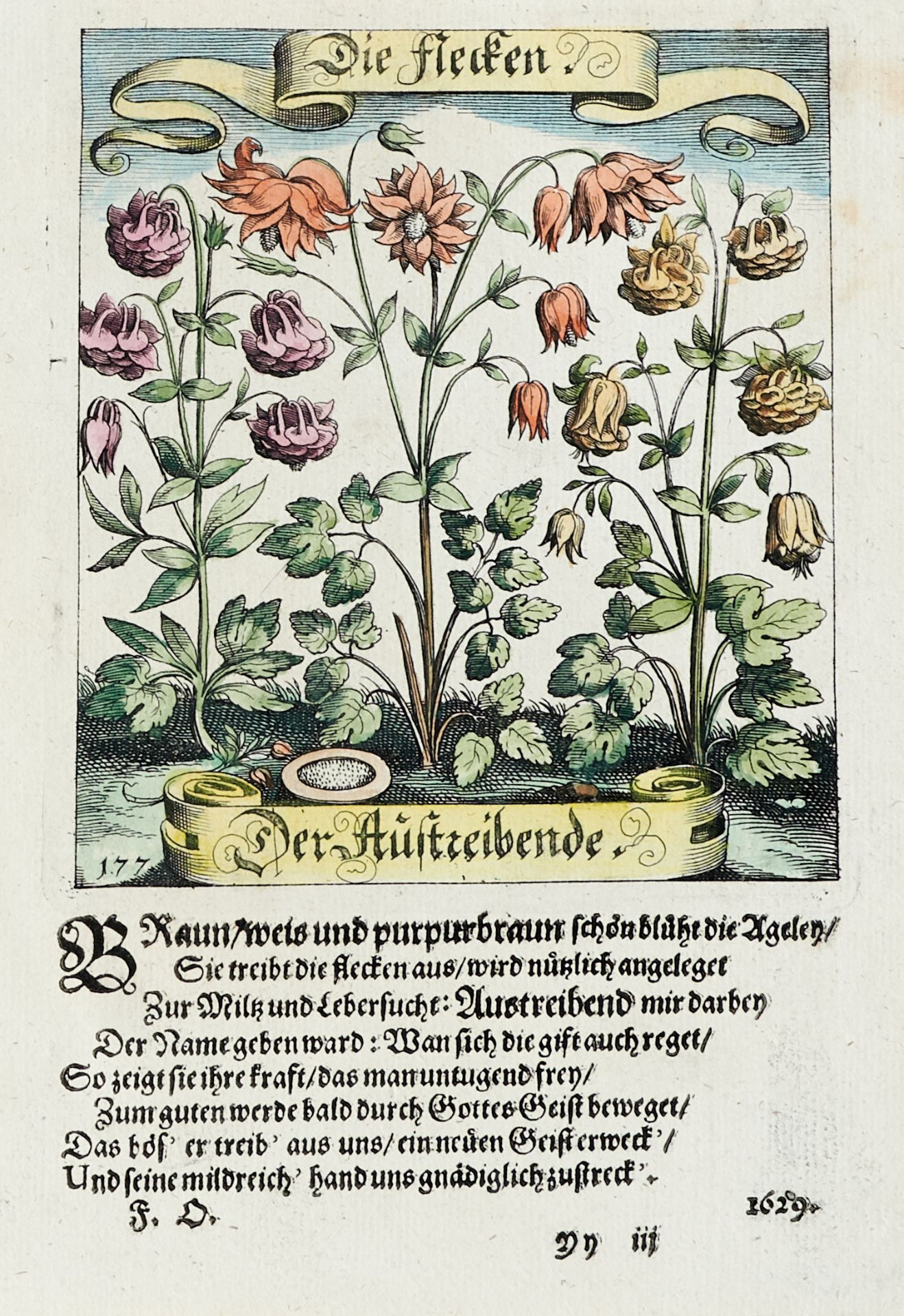 Flora Blumen Konvolut - Ca. 75 Blätter in verschied. Techniken, von verschied. Stechern und in - Bild 4 aus 10