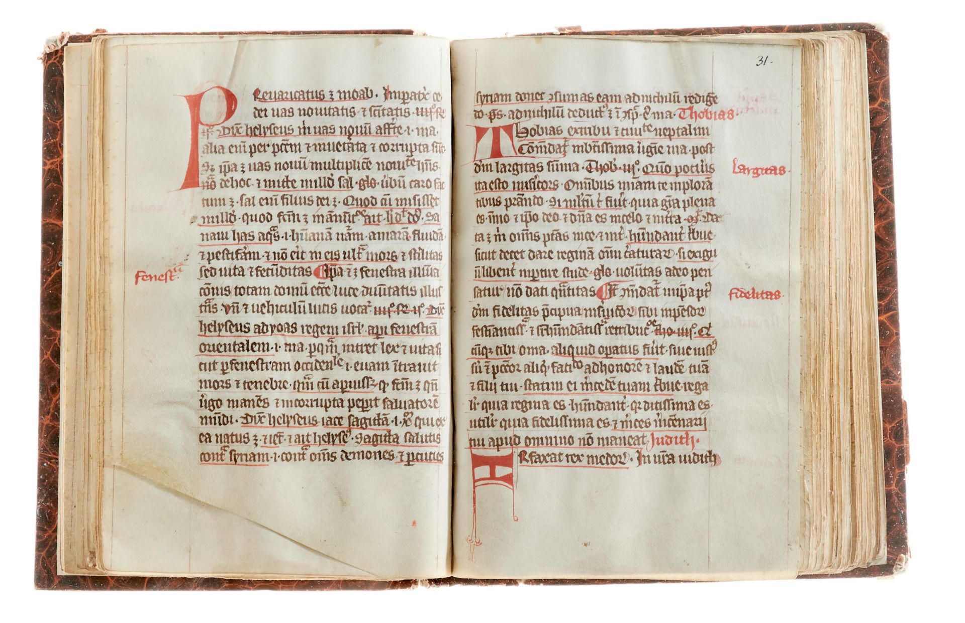 Biblia Mariana von Albertus Magnus und Marianische Predigten von Jacobus de Voragine. Lateinische - Bild 5 aus 6