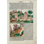 Inkunabelblätter Schedel, H., Buch der Chroniken. - Daraus 1 Bl. mit kolor. Textholzschnitten von M.