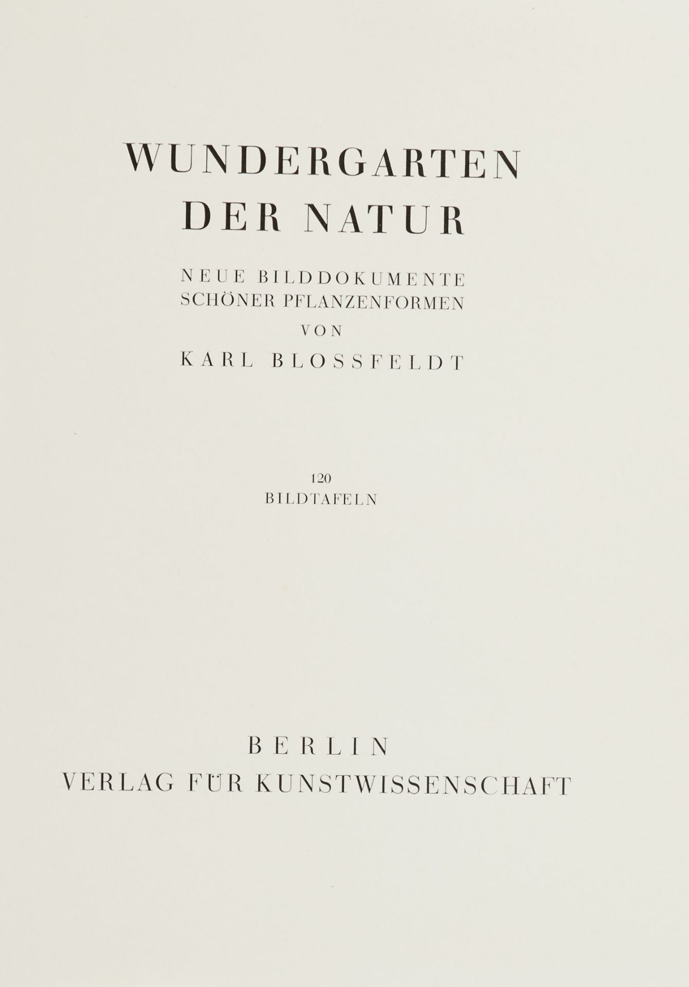 Blossfeldt, K., - Image 2 of 6
