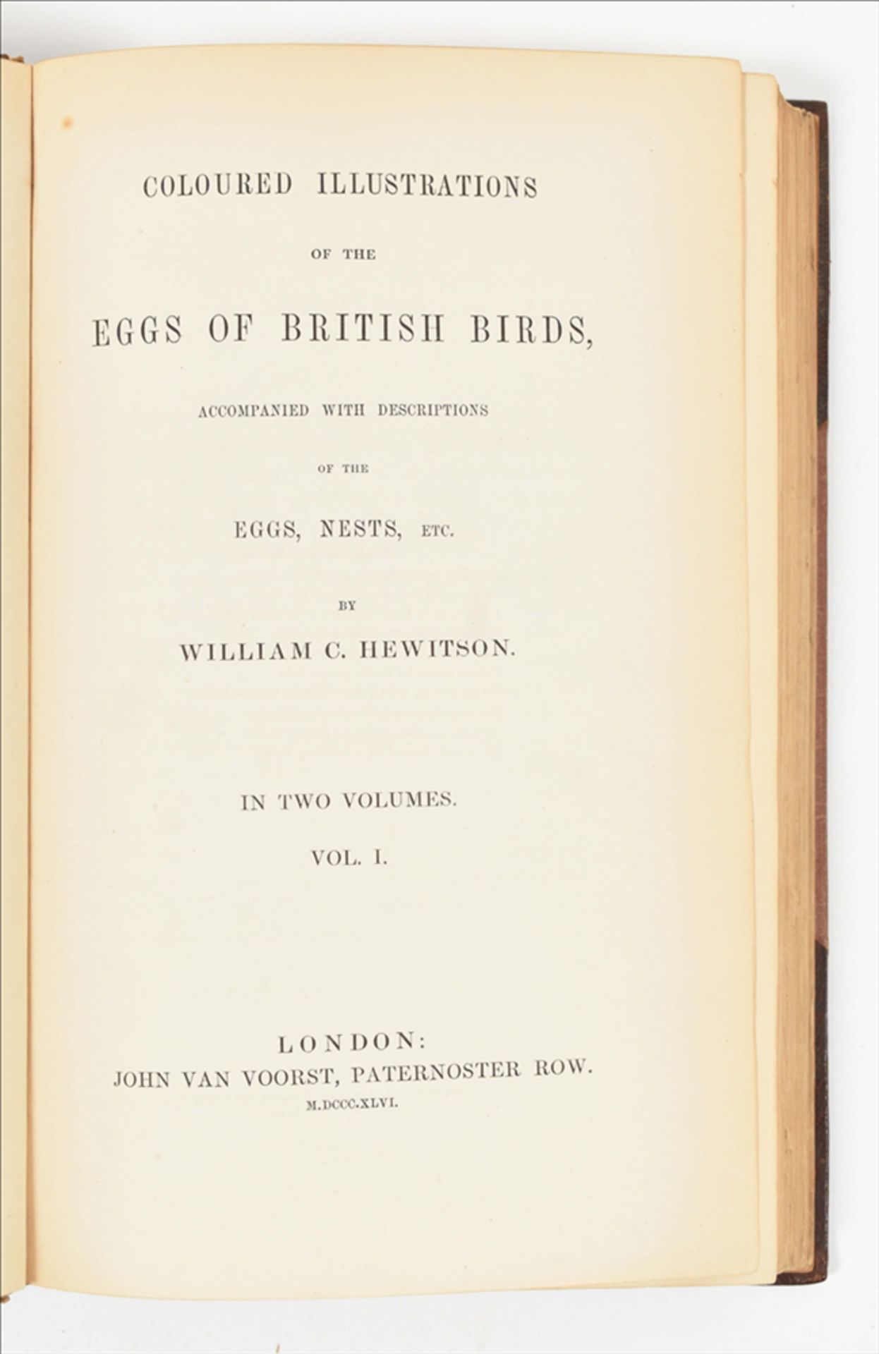 [Ornithology] William C. Hewitson. Coloured Illustrations of the Eggs of British Birds - Bild 4 aus 8