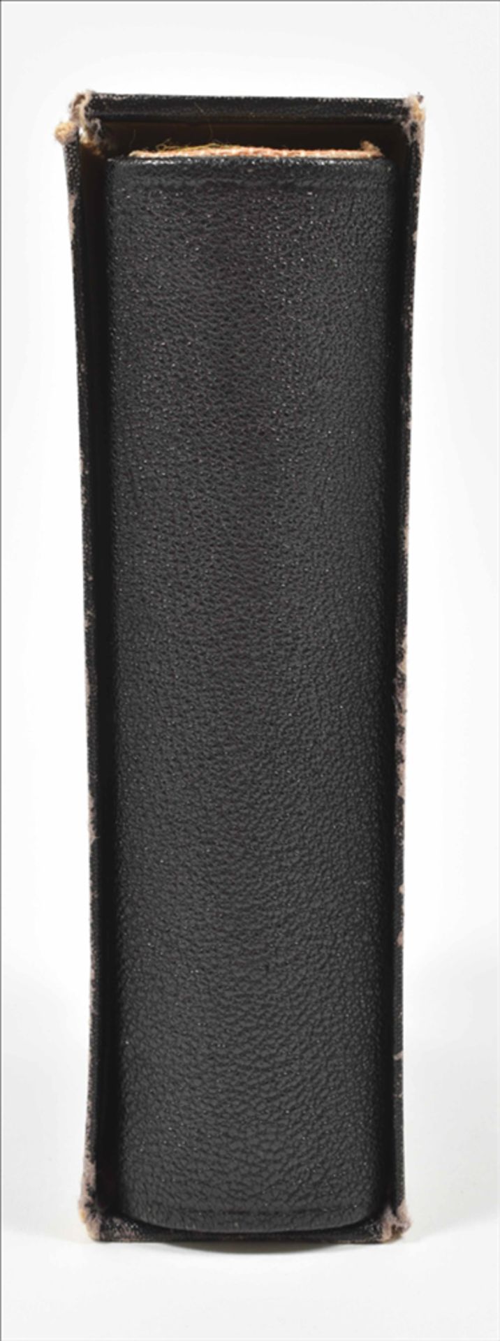 [Fine bindings] Early 20th century sharkskin binding with gold clasp - Image 7 of 8