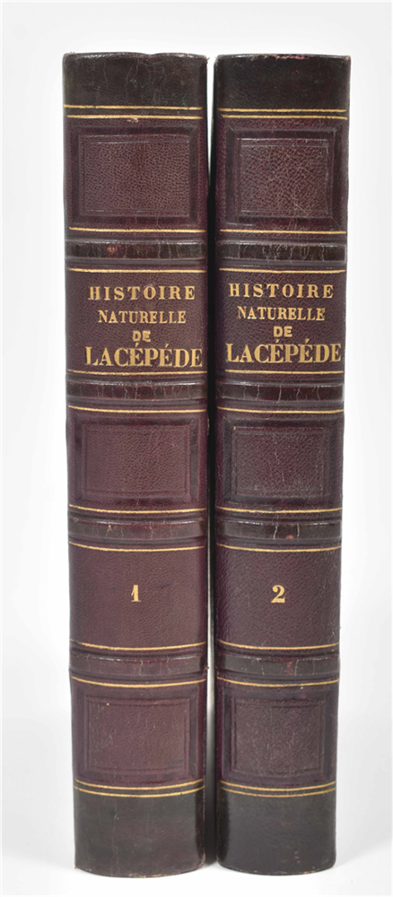 Histoire naturelle de Lacépède - Image 7 of 7