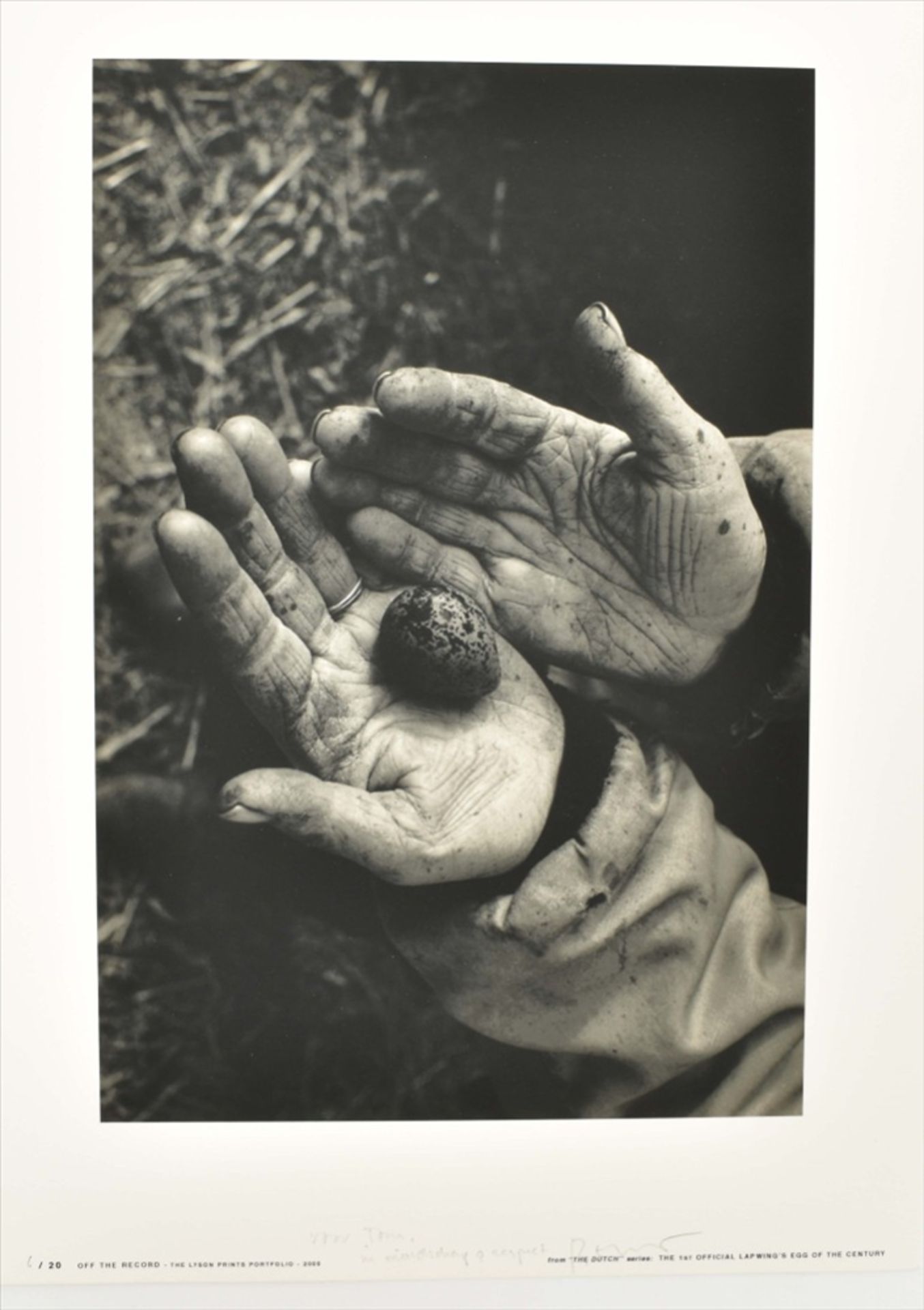 L.J.A.D. Creyghton (b. 1954). The 1st official Lapwing's egg of the century - Image 4 of 8