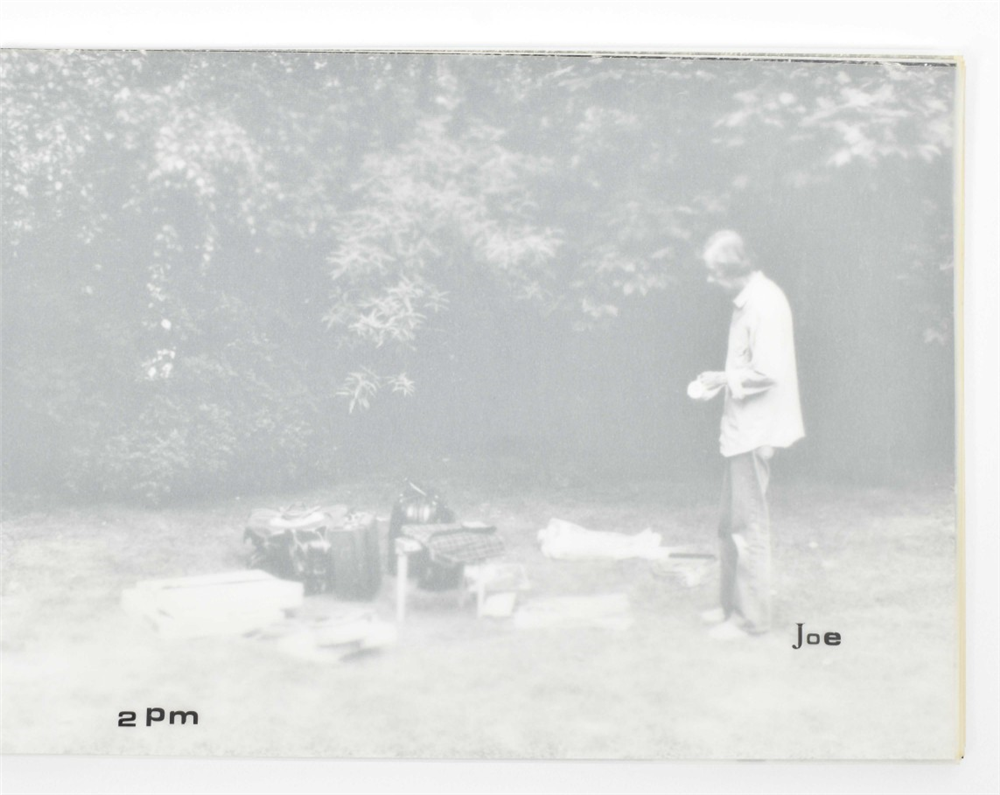 Joe Jones, A Garden Party at Erick Andersch's - Image 2 of 10