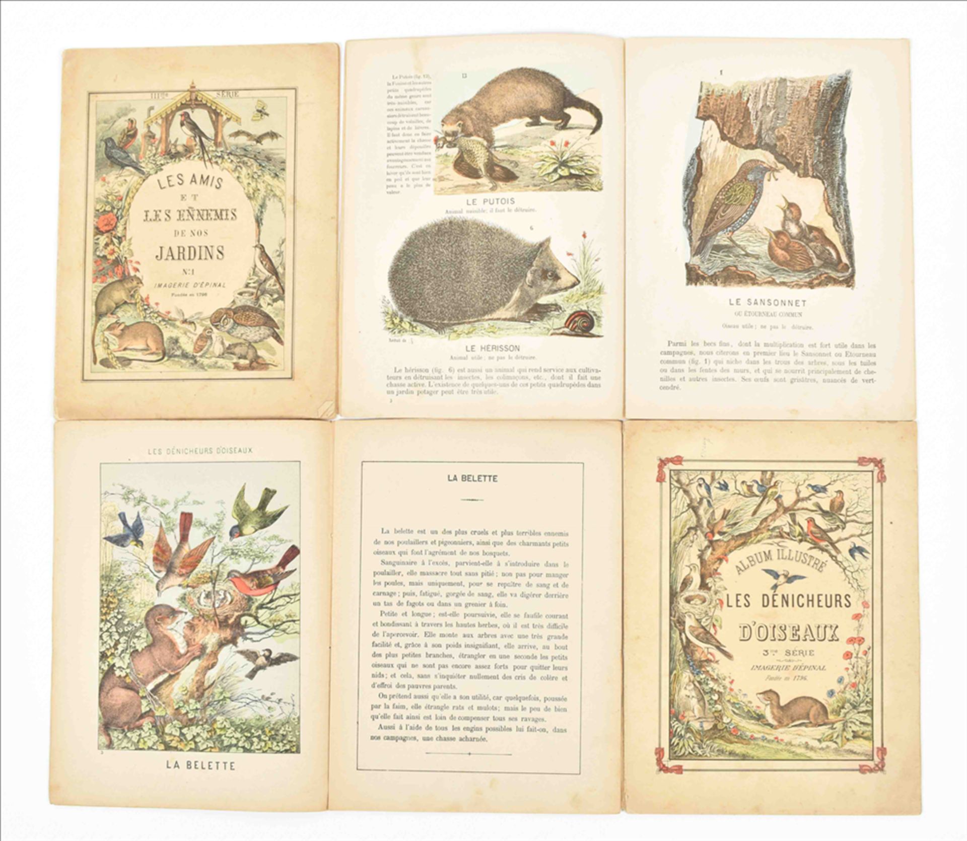 [French Children's books] Lot of nineteen late 19th/early 20th century publications - Image 4 of 10