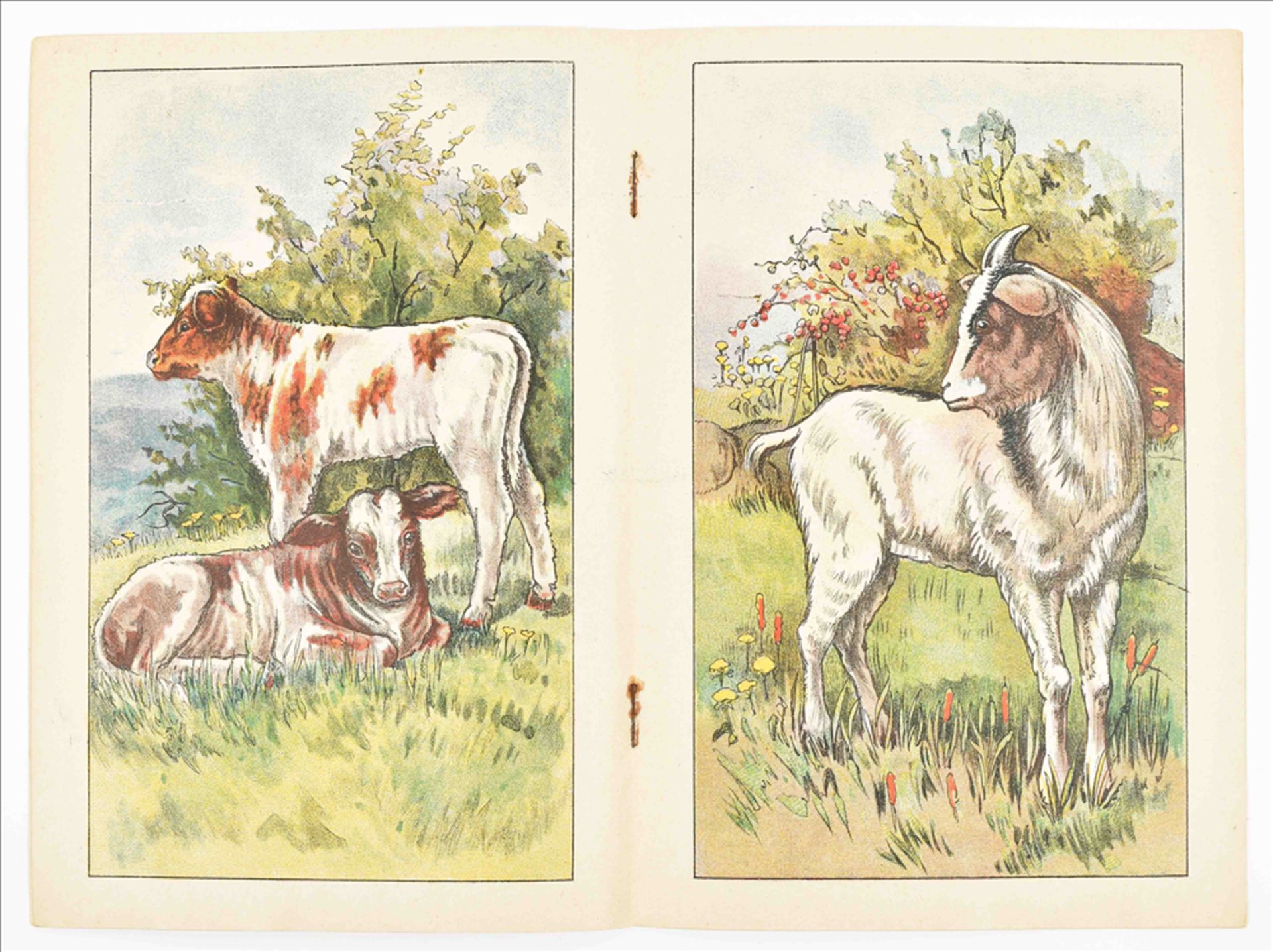 [A.B.-books] Nine Dutch children's books printed by J. Vlieger - Bild 6 aus 8