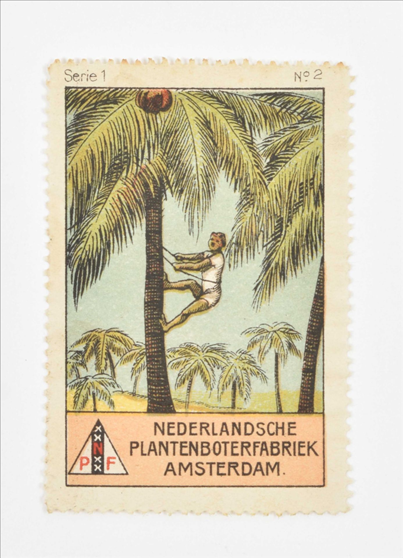 [Poster stamps] Dutch sluitzegels and labels - Image 9 of 10
