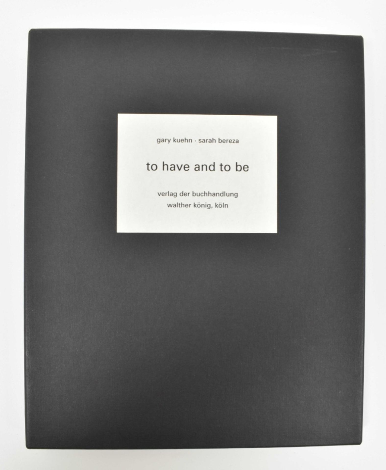 [Minimal art] Gary Kuehn (b. 1939). (1) Sarah Bereza. To have and to be - Image 5 of 6