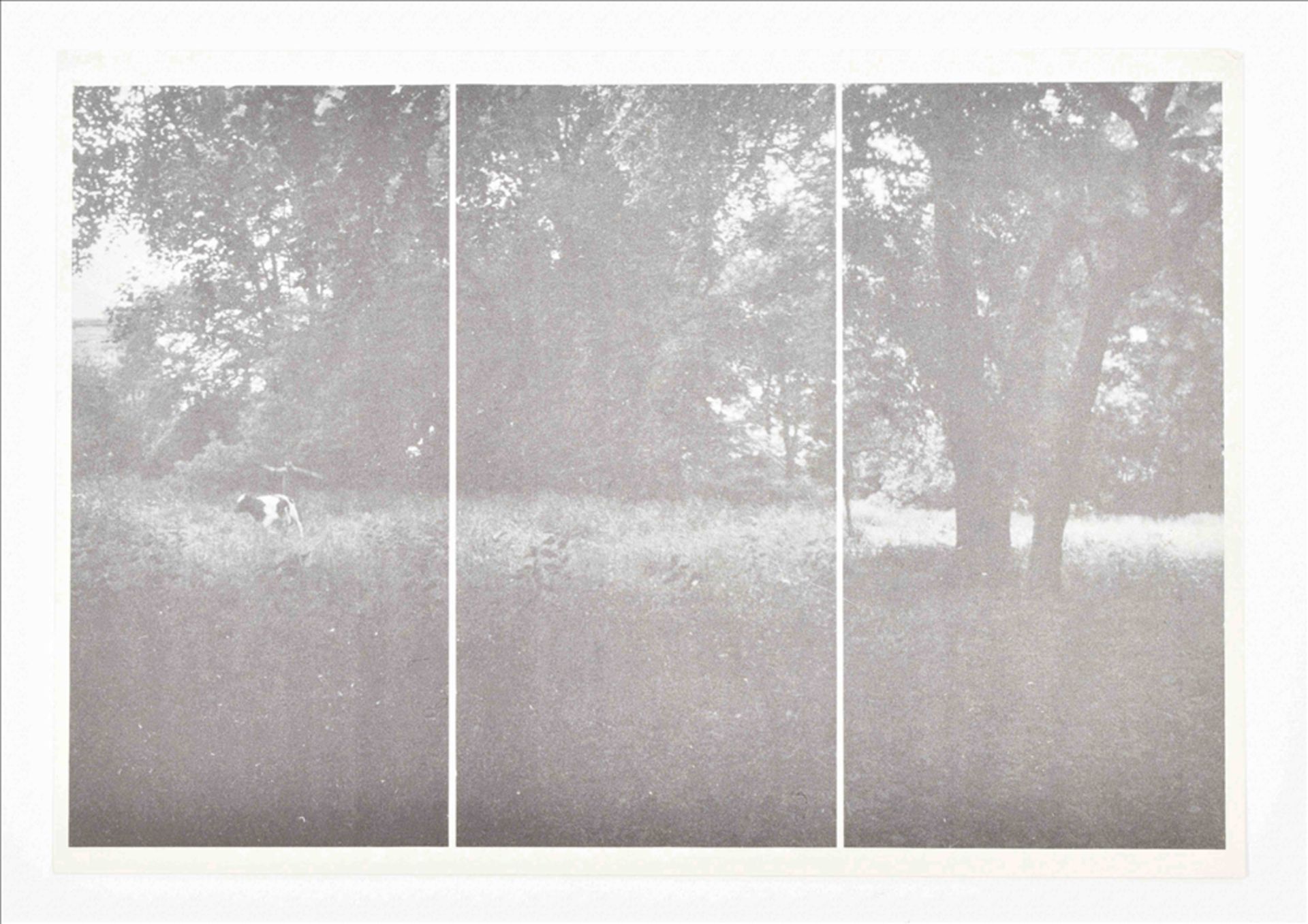 Gerhard Richter ephemera - Bild 2 aus 10