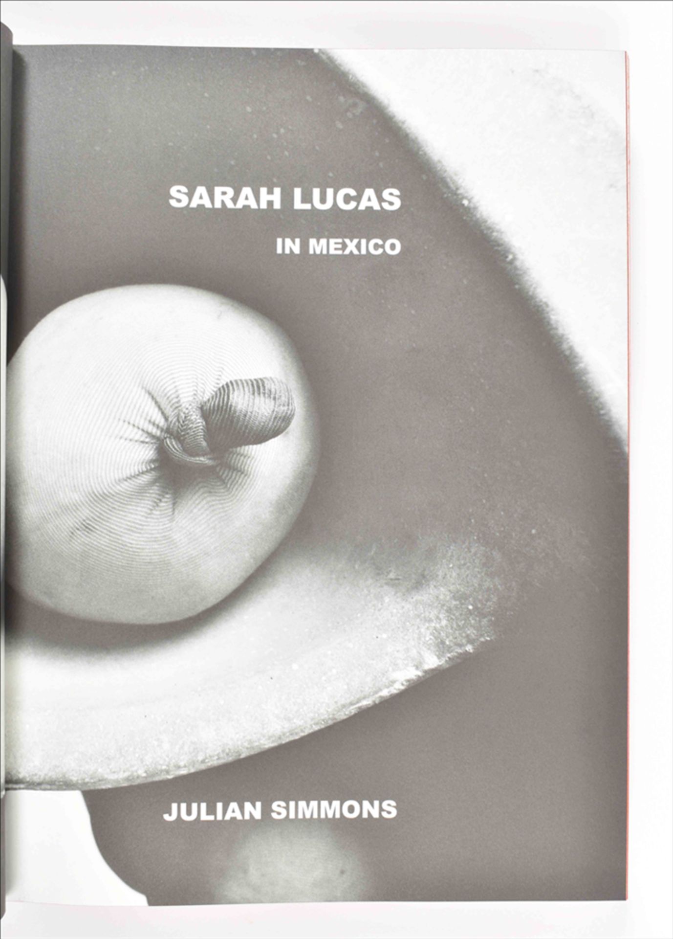 Sarah Lucas, two artists' publications - Image 4 of 8