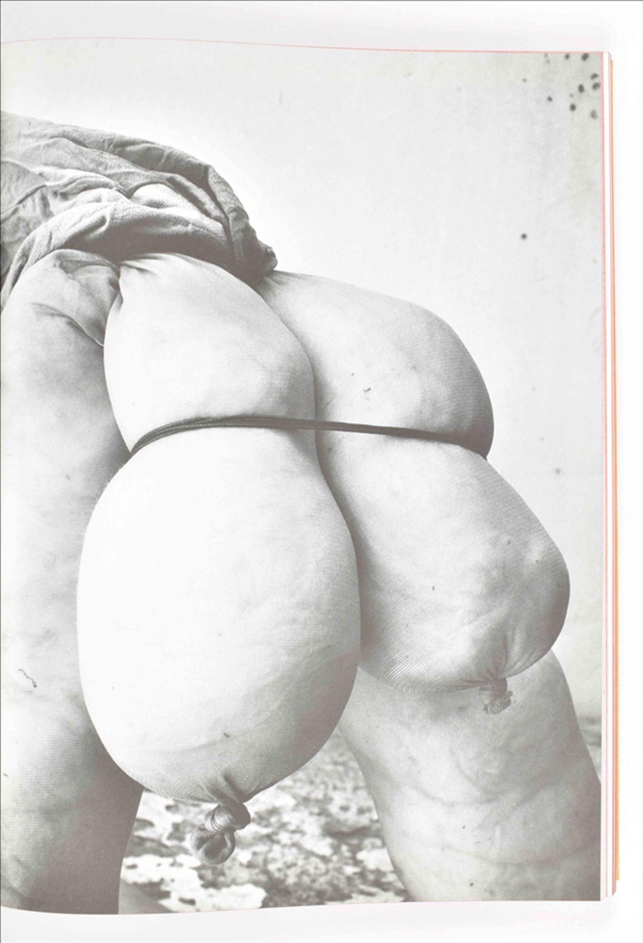 Sarah Lucas, two artists' publications - Image 5 of 8